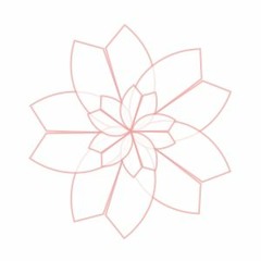 004. Zen Metaphor - priorité des règles CSS