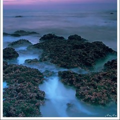 Pixies Are A Real Thing