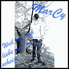 MarCy - Weil Ich Dich Liebe Und So'n Scheiss