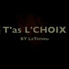 LA TEMEU-t'as l'choix (prod by LA TEMEU)
