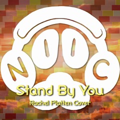 Stand By You (Rachel Platten Cover)