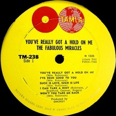 You've Really Got A Hold On Me (Cover - One-Take Recording)