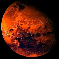 Skeletons On Mars