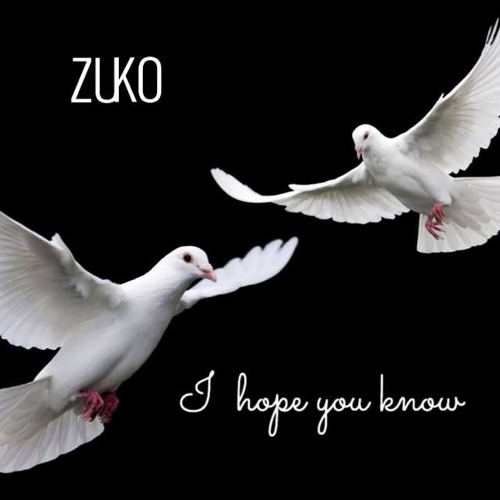 Zuko - I Hope You Know