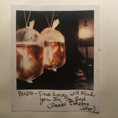 Budo - True Love Will Find You (Daniel Johnston Cover)