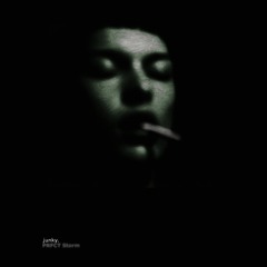 PRFCT Storm • The Next High