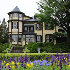 Sunday Afternoon Demo