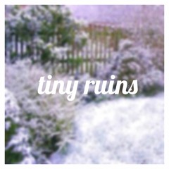 Me At The Museum, You In The Wintergardens - Tiny Ruins