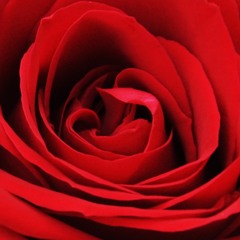 Love and Meaning/Love Is Meaning.MP3