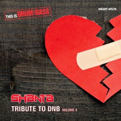 Tribute To DnB Volume 4