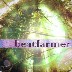 beatfarmer - Through The Night (in the morning Mix)