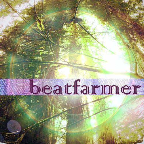 beatfarmer - Through The Night (in the morning Mix)