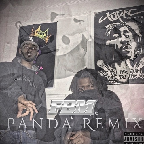 PANDA GMix