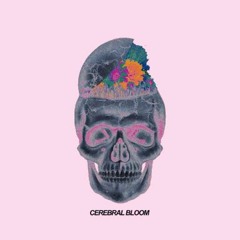 Cerebral Bloom - Acid Washed