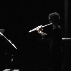 Marcos Franciosi, Entrópica / MEI - música para flautas