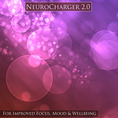 NeuroCharger 2.0 Demo (5 min)