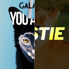 Big Catzz (Porter Edit) x You Alone