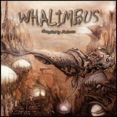 VA - WHALIMBUS compiled by Padawan (OUT NOW !!!! FREE DOWNLOAD)