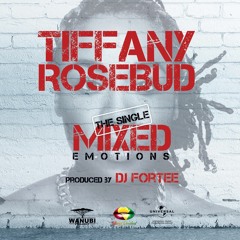 Tiffany Rosebud - Mixed Emotions (Radio Edit)