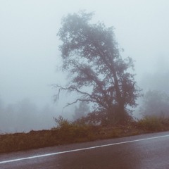 rio. (prod. idntrmmbr)