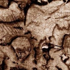 Aymeric AVICE SOLO 1