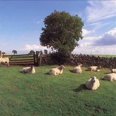 KLF - Madrugada Eterna