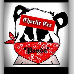 Charlie Cee - Panda (Freestyle)