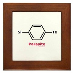 Framed Parasite