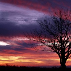 14 - Aural Sense - Better Days (Search Of Sunrise Mix)