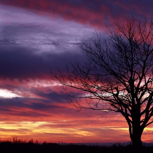 13 - Mosahar - Passion (Rene Ablaze Presents Fallen Skies Remix)