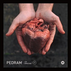 Pedram - Walked In
