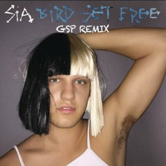 SIA - Bird Set Free (GSP Remix)