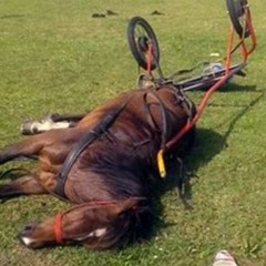 MC Jonesy Vs MC Smally