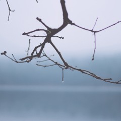 Невыносимая легкость бытия – Нелепицы (демо)