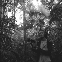 sines, crickets and a few (binaural downmix from the original 8 channel version)