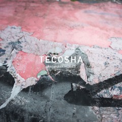 Tecosha - Transcendent (Album Preview)
