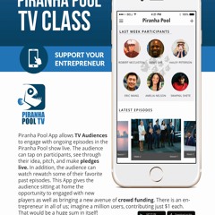 Investor Audio Pitch (Piranha Pool)