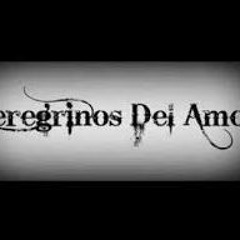 145 - Los Peregrinos Del Amor - La Promesa Remixer Dj Raya Xperium Dj Group