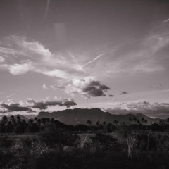 MR_004