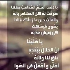 يا قلبنا إن الحلال ببعده باقٍ لنا ❤️ أحمد المغينى