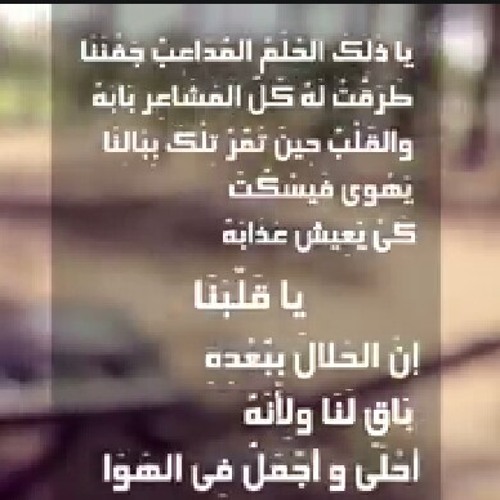 يا قلبنا إن الحلال ببعده باقٍ لنا ❤️ أحمد المغينى