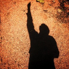 Still Moving Forward