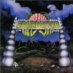 bRAINdUSTER: 'My Shell'