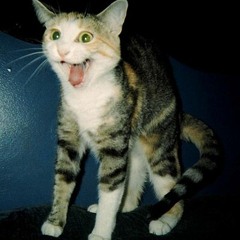 *Trance Music* - Euphoric, Vocal, Uplifting and Melodic (Free Downloads)