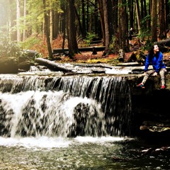 Silver Springs (Fleetwood Mac cover)