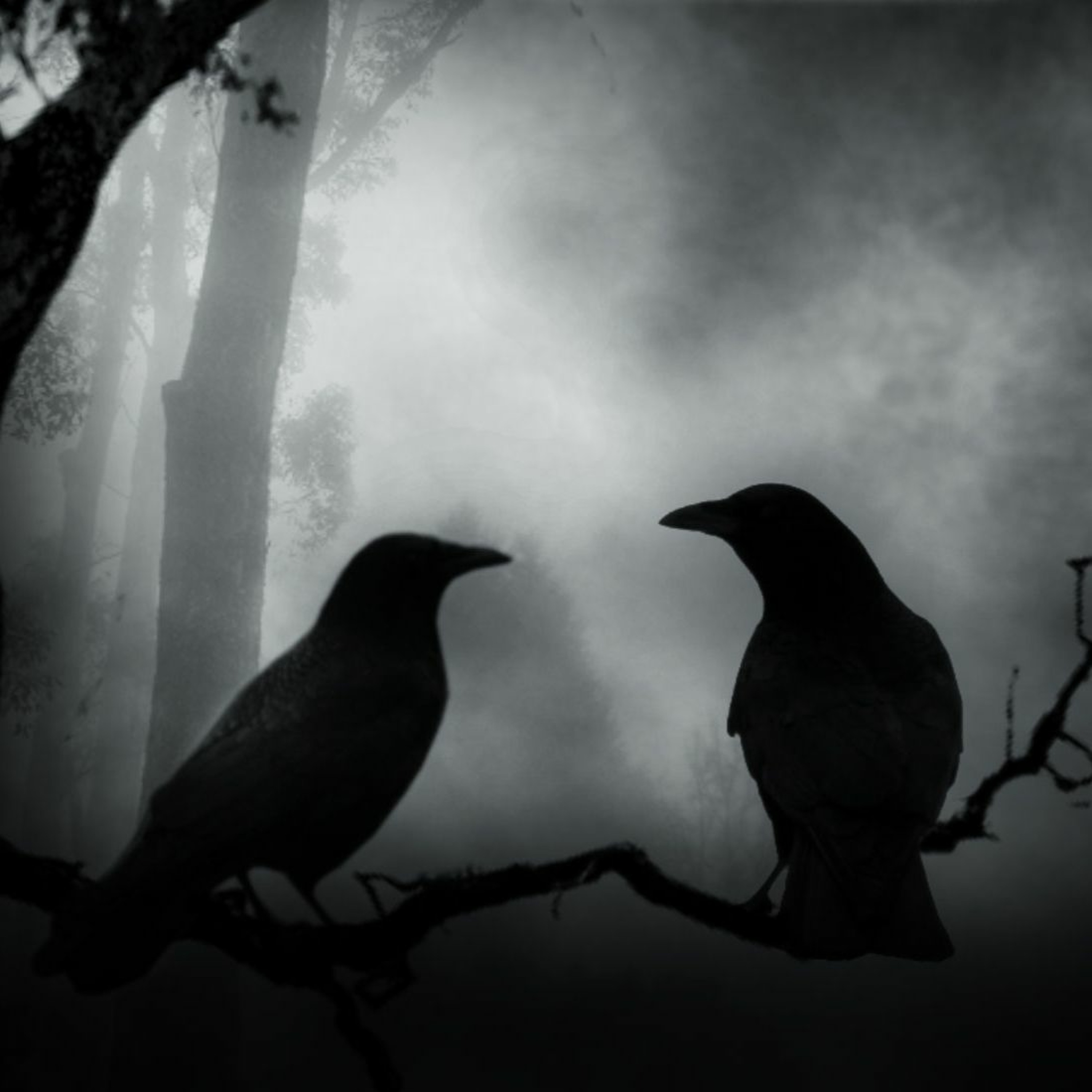 WikingWings