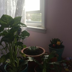 walking in the woods with trent reznor talking about monsanto