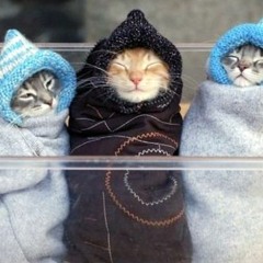 Wrapped Up In A Quantum Bubble