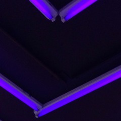 Cupid's Post V-Day Bangers