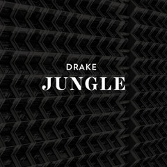 Drake - Jungle(cover)